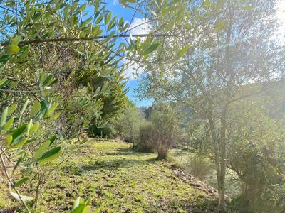 Terrain inconstructible - 2 400 m²