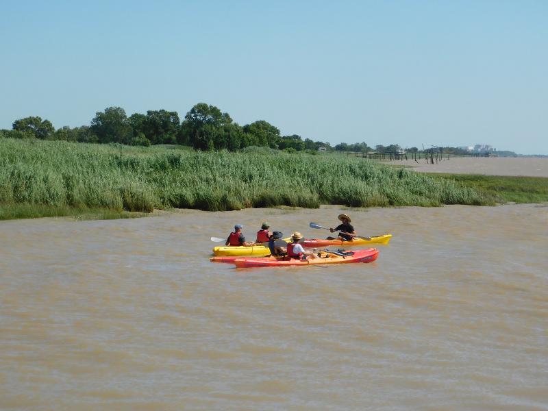 Sortie kayak à Terres d'Oiseaux