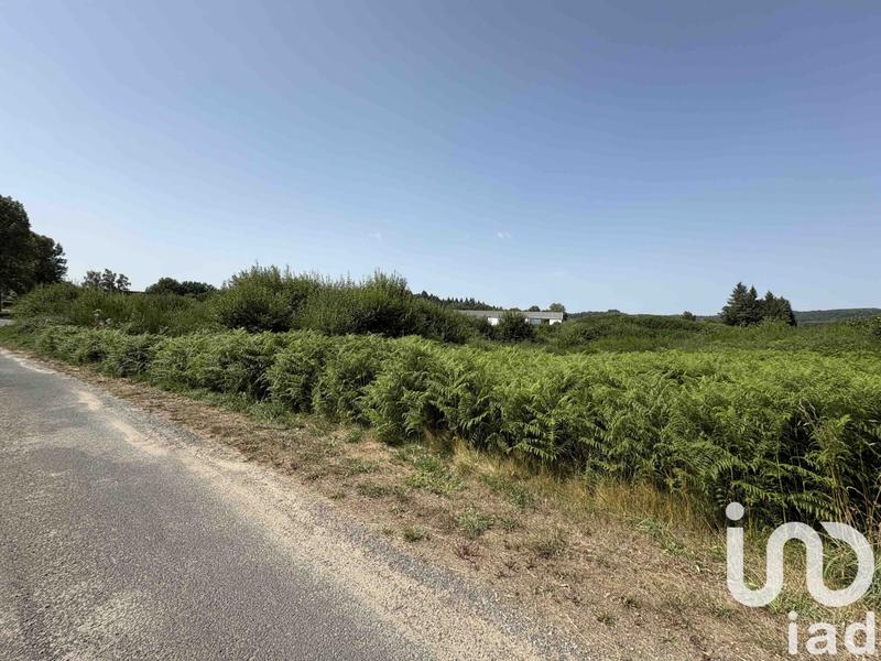 Terrain - 19 141 m²