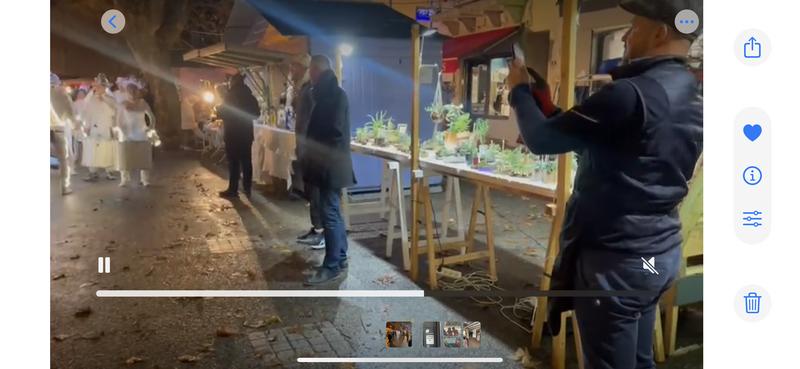 Composition de plantes grasses