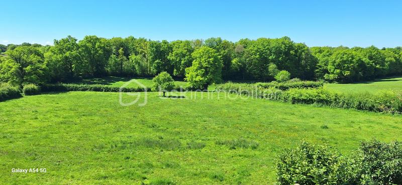 Maison ancienne - 145 m² - 7 pièces