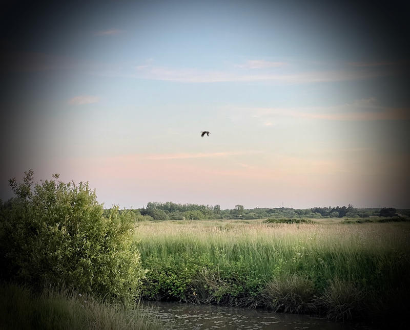 Longère - 97 m² - 5 pièces