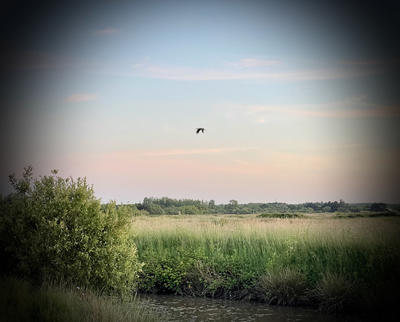 Longère - 97 m² - 5 pièces