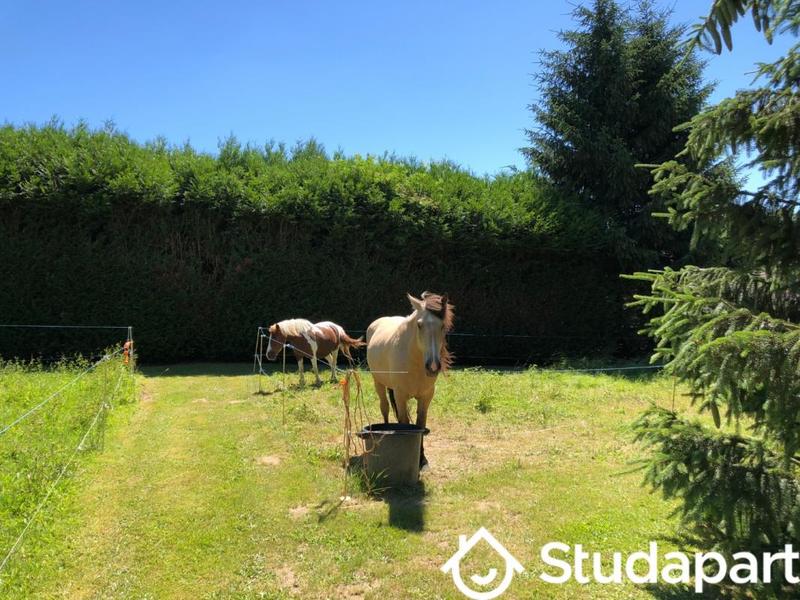 Ferme - 110 m² - 4 pièces