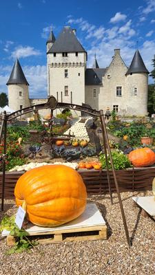 Fête de la citrouille et de l'automne au Château du Rivau