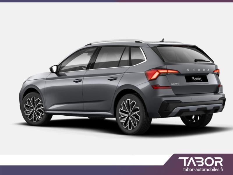 Skoda Kamiq Dsg Dynamic Pano Acc SideA Cam