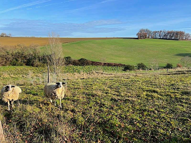 Maison - 115 m² - 6 pièces