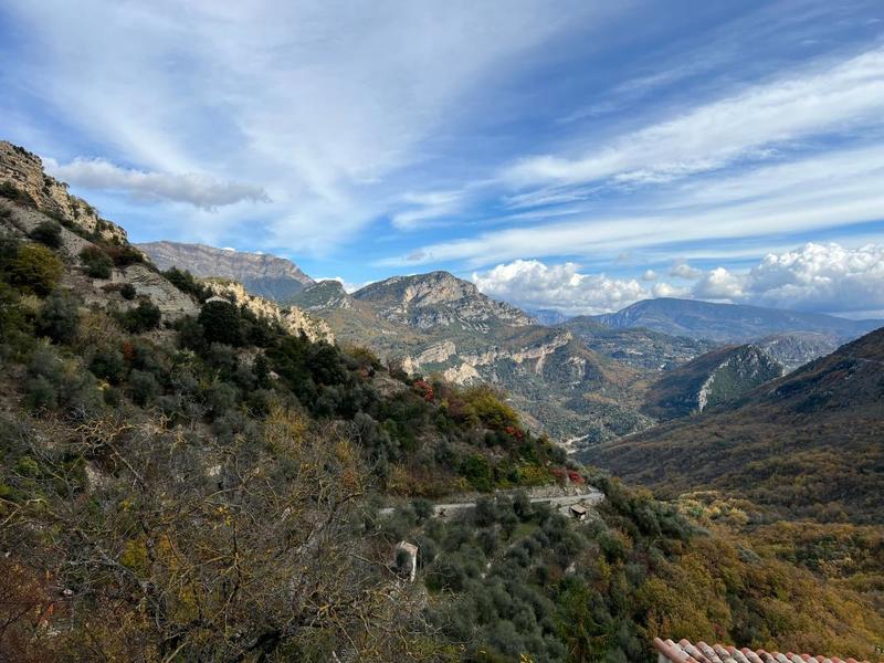 Duplex - 65 m² - 2 pièces