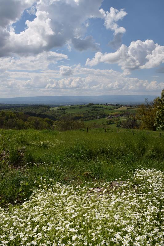 Terrain constructible - 516 m²