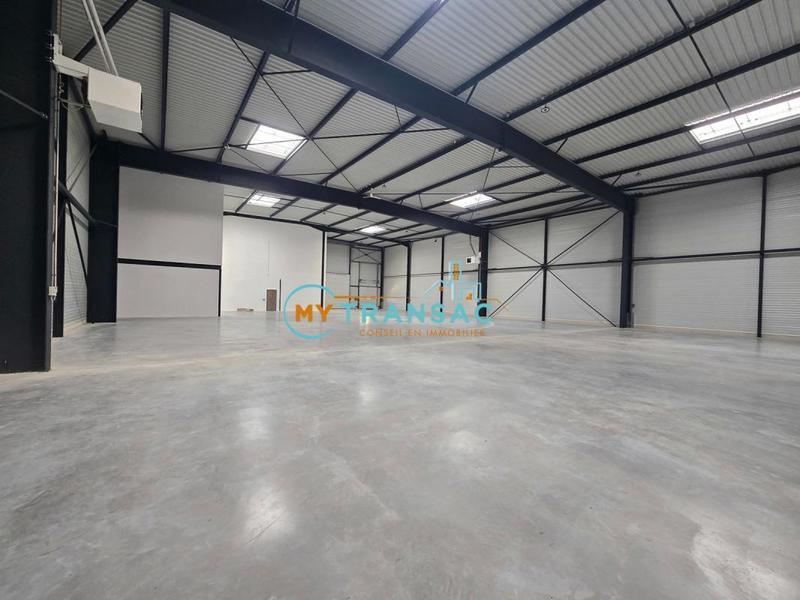 Local d'activité / Entrepôt - 1 675 m²
