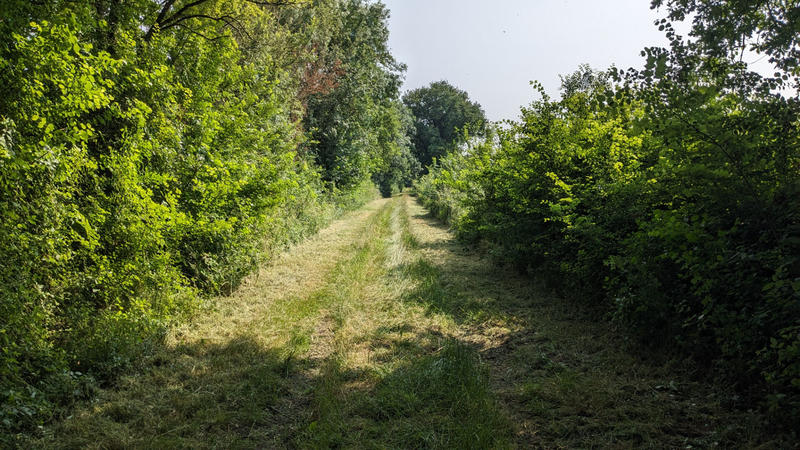 Terrain - 45 170 m²