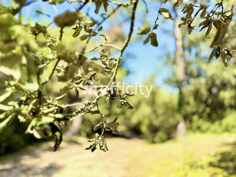 Maison - 60 m² - 3 pièces