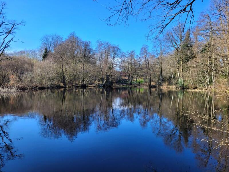 Maison - 314 m² - 14 pièces