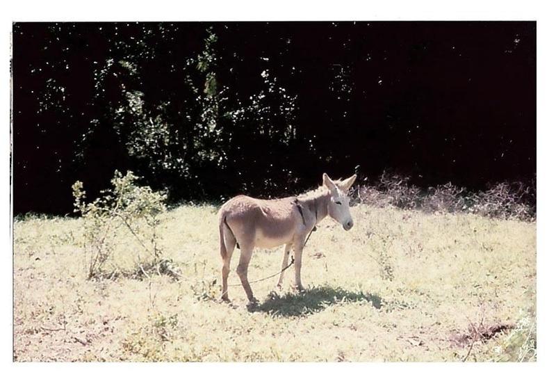 Terrain agricole - 167 518 m²