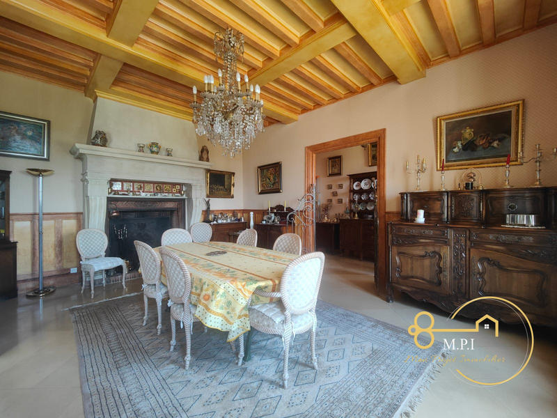 Château - 779 m² - 13 pièces