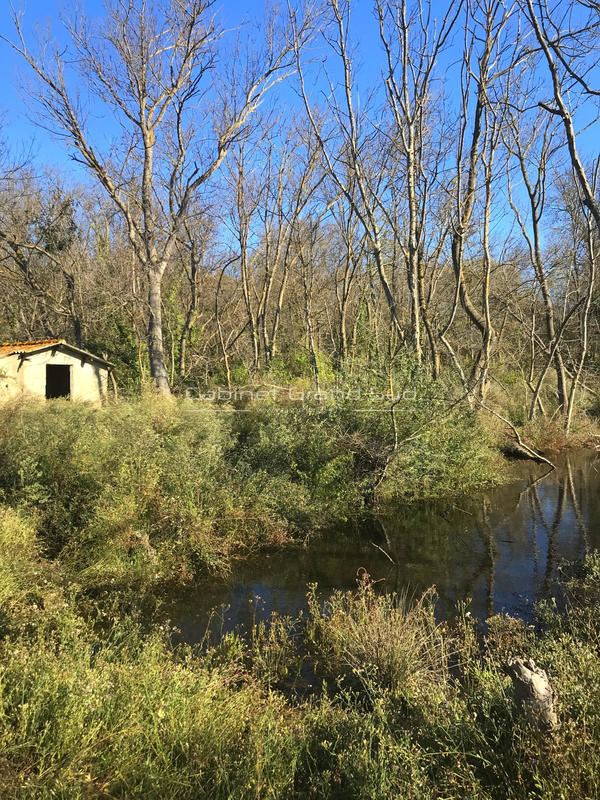 Terrain de loisirs - 1 488 m²