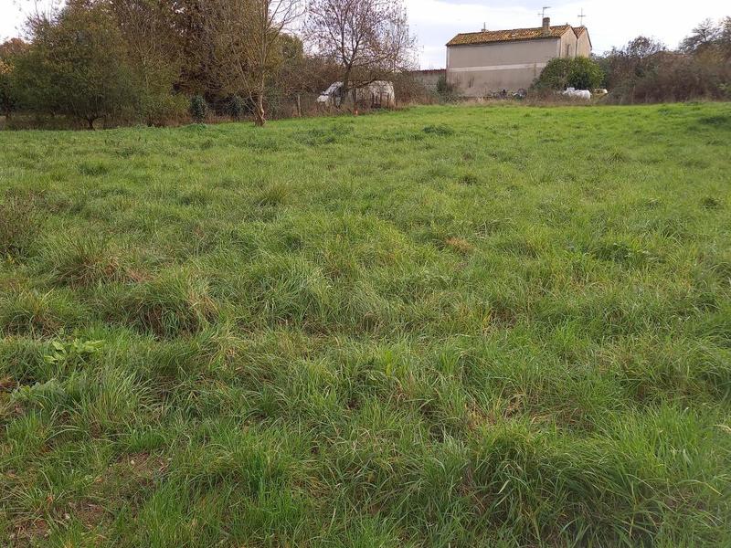 Terrain constructible - 899 m²