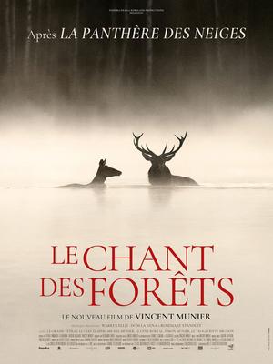 Projection de film : le Chant des Forêts