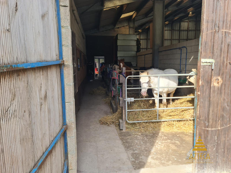 Terrain agricole - 16 000 m²