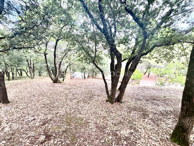 Maison d'architecte - 160 m² - 6 pièces