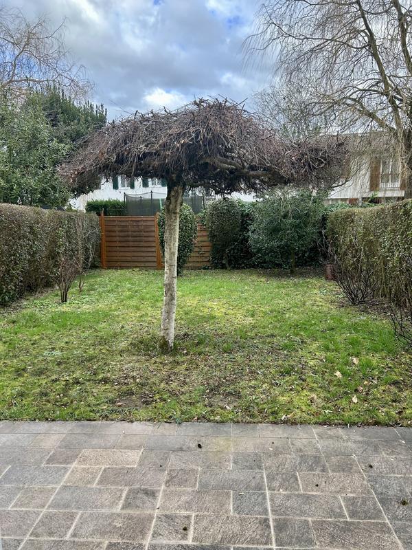 Maison - 113 m² - 5 pièces