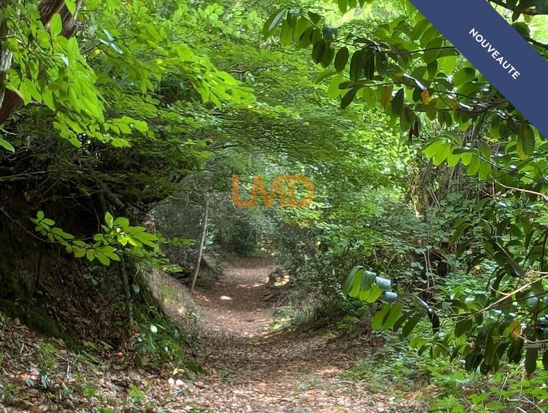 Maison en pierre - 60 m² - 2 pièces