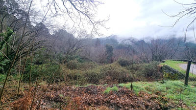 Terrain constructible - 9 403 m²