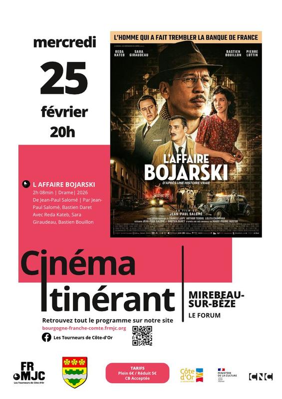 Cinéma - l'affaire Bojarski