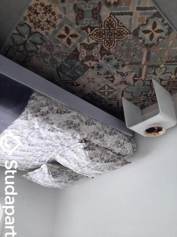 Chambre - 20 m² - 1 pièce