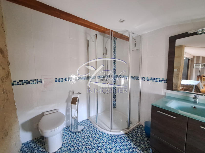 Maison ancienne - 294 m² - 10 pièces