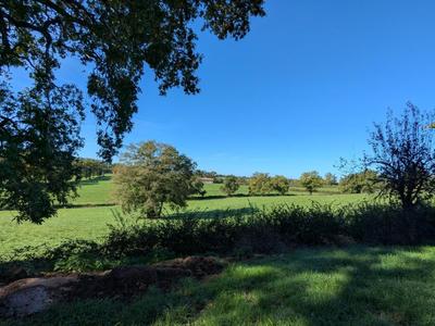 Corps de ferme - 146 m² - 7 pièces