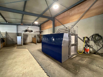 Maison - 859 m² - 13 pièces