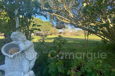 Mas - 340 m² - 10 pièces