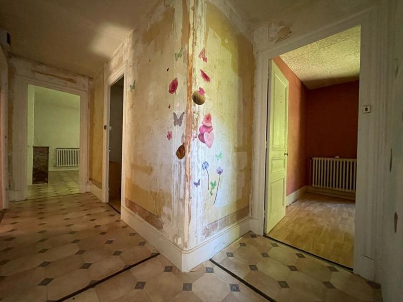 Hôtel particulier - 477 m² - 15 pièces