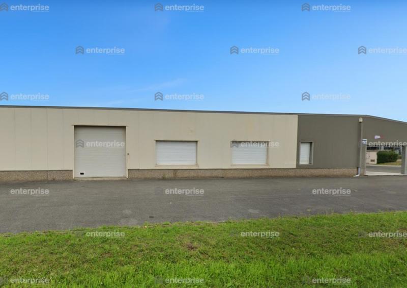 Local d'activité / Entrepôt - 560 m²