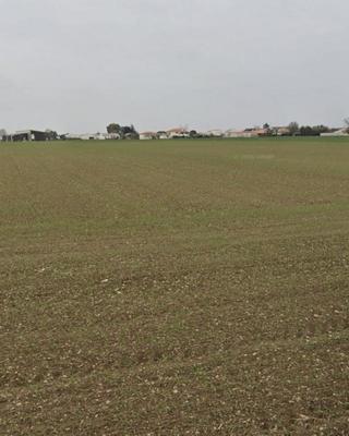 Terrain constructible - 103 753 m²