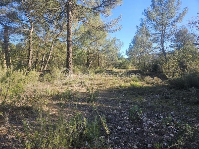 Maison - 220 m² - 10 pièces