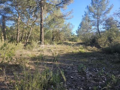 Maison - 220 m² - 10 pièces