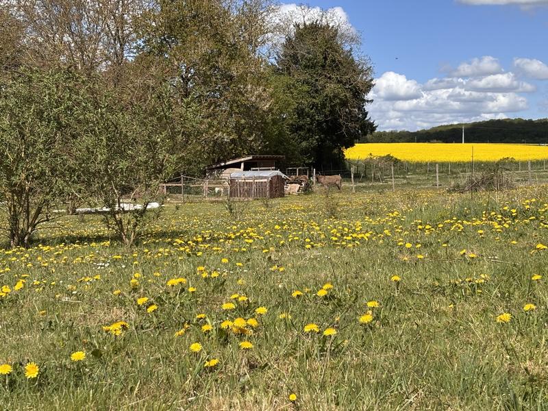 Ferme - 80 m² - 3 pièces
