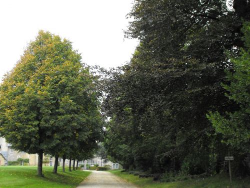 Chateau de la Flocelliere