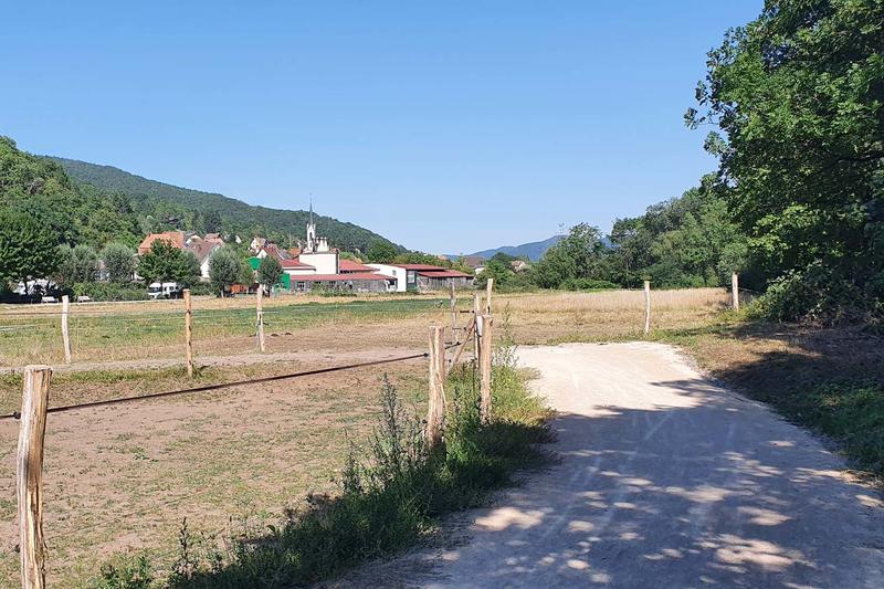 Club Vosgien : Marche douce bien-être