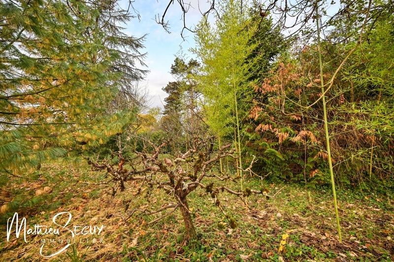 Terrain constructible - 1 617 m²