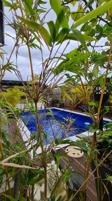 Villa - 128 m² - 4 pièces