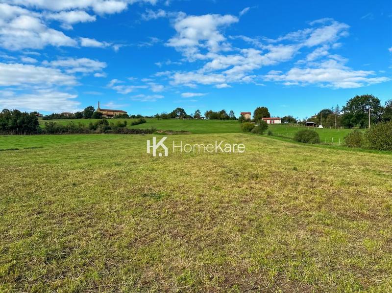 Terrain constructible - 8 000 m²