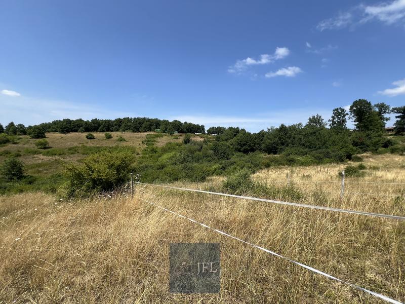 Maison de domaine équestre - 100 m² - 1 pièce