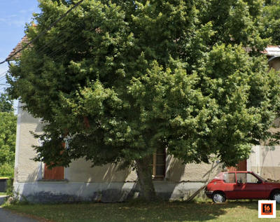 Maison ancienne - 130 m² - 5 pièces