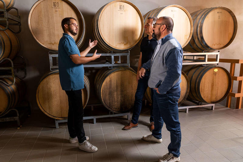 Parenthèse Vigneronne : Initiation à la dégustation