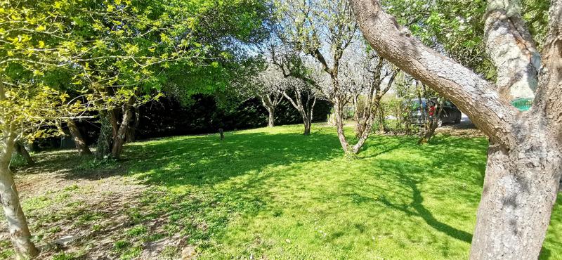 Viager - Maison ancienne - 224 m² - 7 pièces