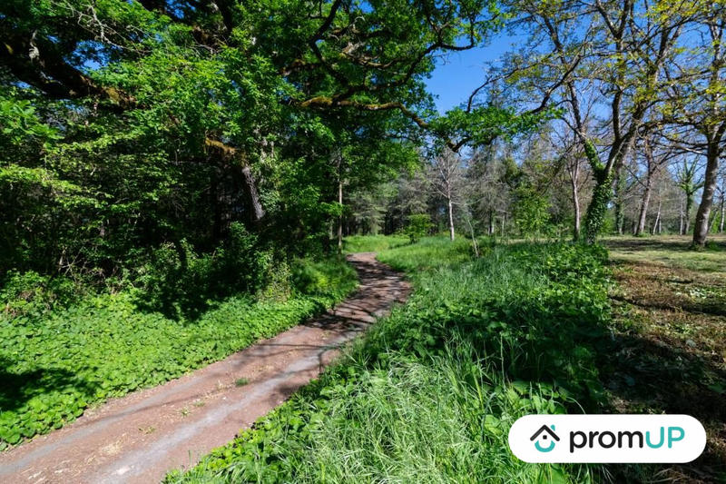 Terrain - 10 000 m²