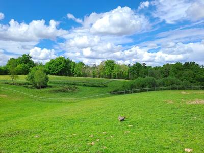 Propriété - 323 m² - 12 pièces